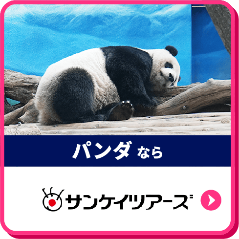 パンダならサンケイツアーズ